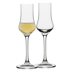 Ecology Classic Set of 4 Grappa Glasses 80ml