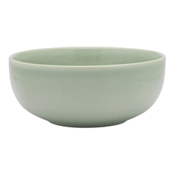 Ecology Element Laksa Bowl 20cm Dew