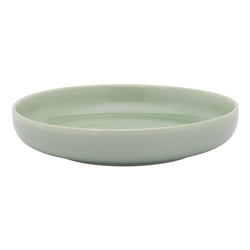 Ecology Element Dinner Bowl 22cm Dew