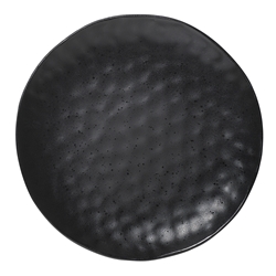 Speckle Dinner Plate Ebony 27cm