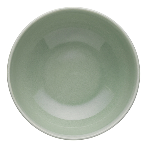 Ecology Element Laksa Bowl 20cm Dew