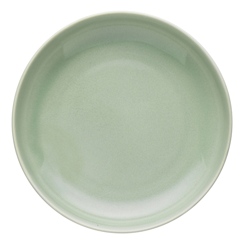 Ecology Element Dinner Bowl 22cm Dew