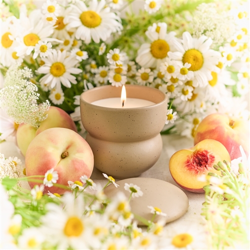 Ecology Alchemy Candle 250g Wildflower