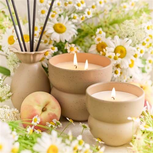 Ecology Alchemy Candle 250g Wildflower