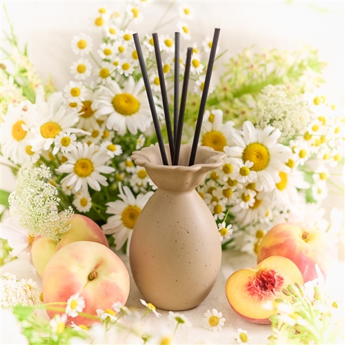 Ecology Alchemy Diffuser 200ml Wildflower