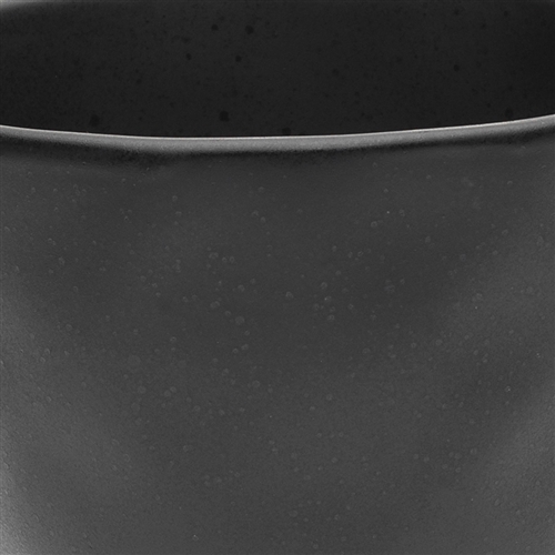 Speckle Mug Ebony