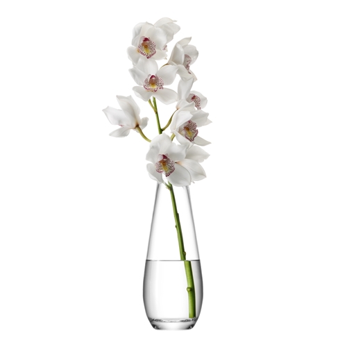 LSA Flower Tall Stem Vase 29cm