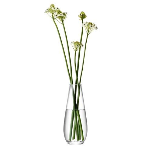 LSA Flower Tall Stem Vase 29cm